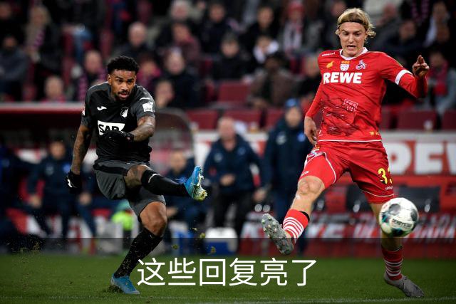 这些回复亮了