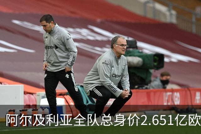 阿尔及利亚全队总身价2.651亿欧，26名球员中马扎的4500万欧最高