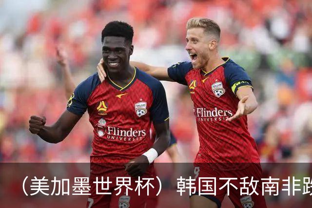 （美加墨世界杯）韩国不敌南非跌至小组第三 出线前景待定